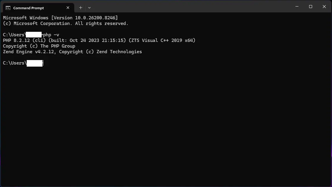 Checking PHP version in XAMPP using command line (php -v)