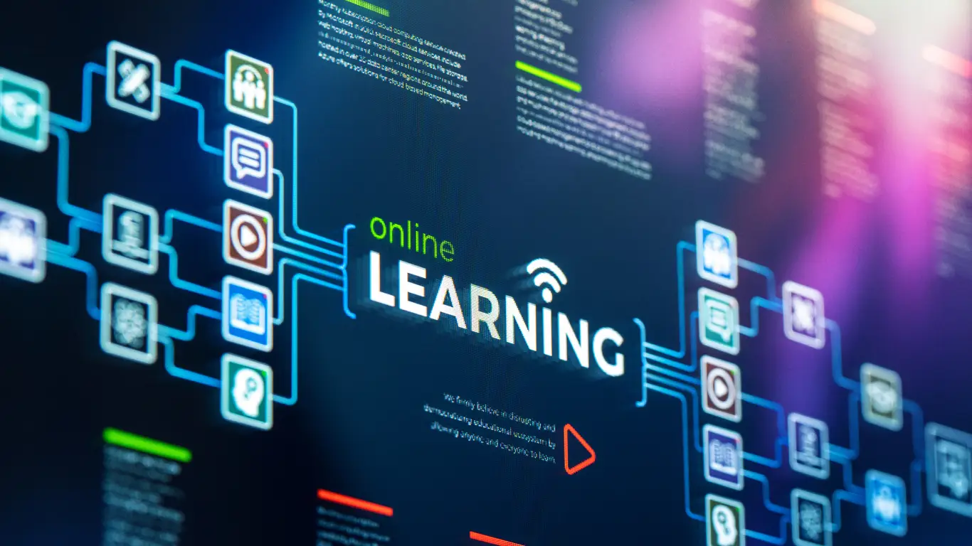 Developer working on Laravel and React digital products for online marketplaces